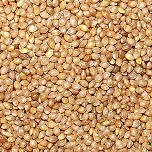 Barnyard Millet Seeds