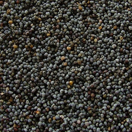 Blue Poppy Seeds
