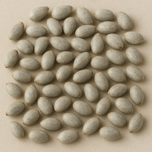 Cotton Seeds
