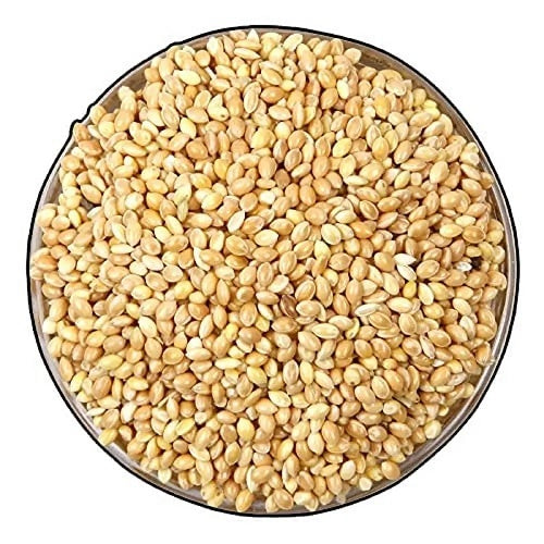 Kangani Millet Seeds