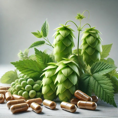 Hops Capsules