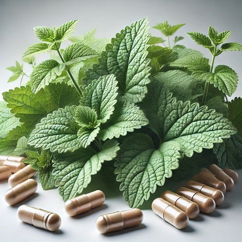 Horehound Capsules