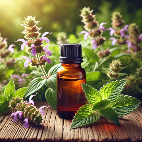 Hyssop Essential Oil
