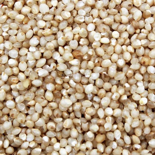 Little Millet Seeds