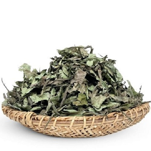 Psychotria Viridis Dried Leaves