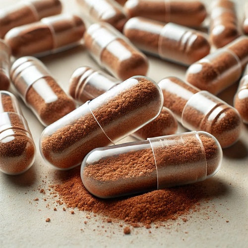 Reishi Ganoderma Capsules