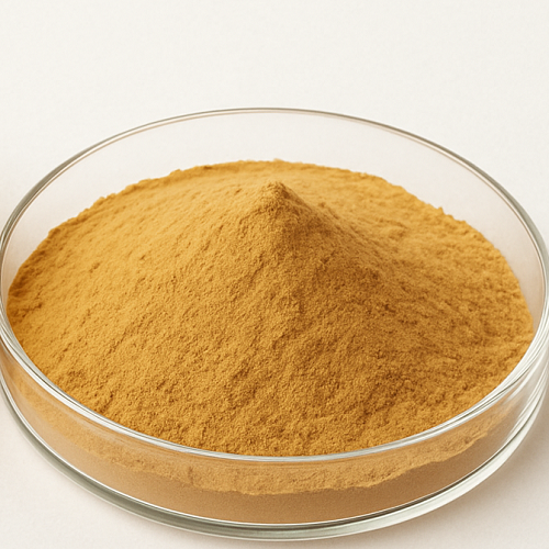 Tremella Mushroom Extract Powder