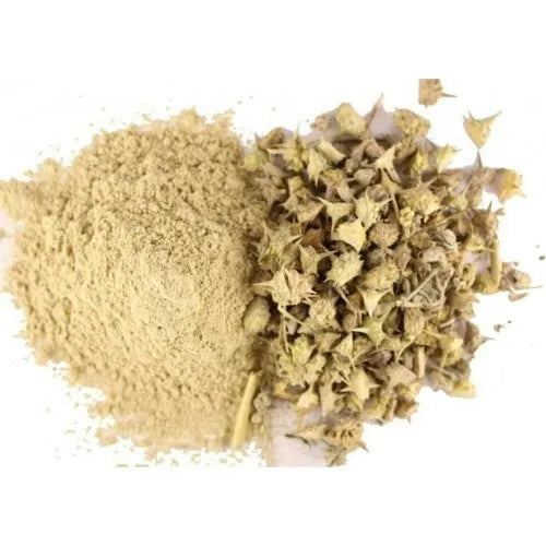 Tribulus Extract Powder