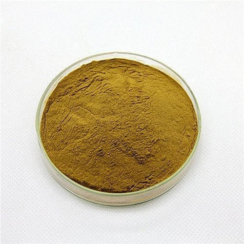Comfrey Leaf Extract Powder
