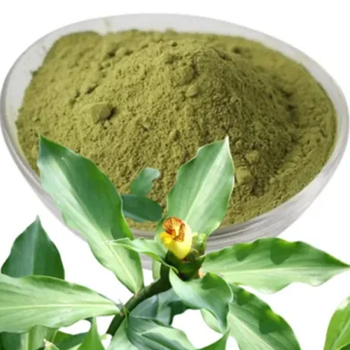 Costus Igneus Leaf Powder