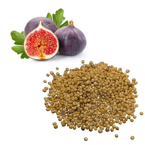 Fig Seeds