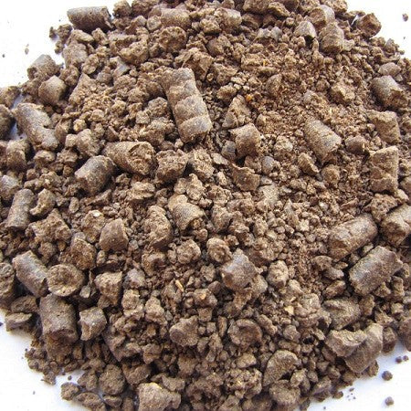 Peanut Seed Cake / Groundnut De-Oiled Protein Powder