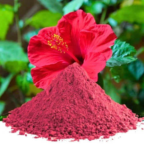 Hibiscus Juice Powder