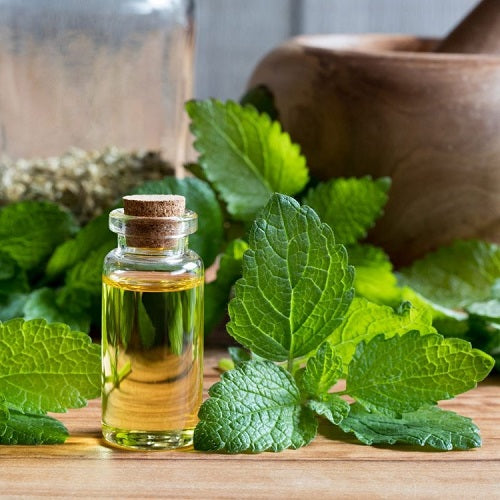 Lemonol Myrtle Essential Oil