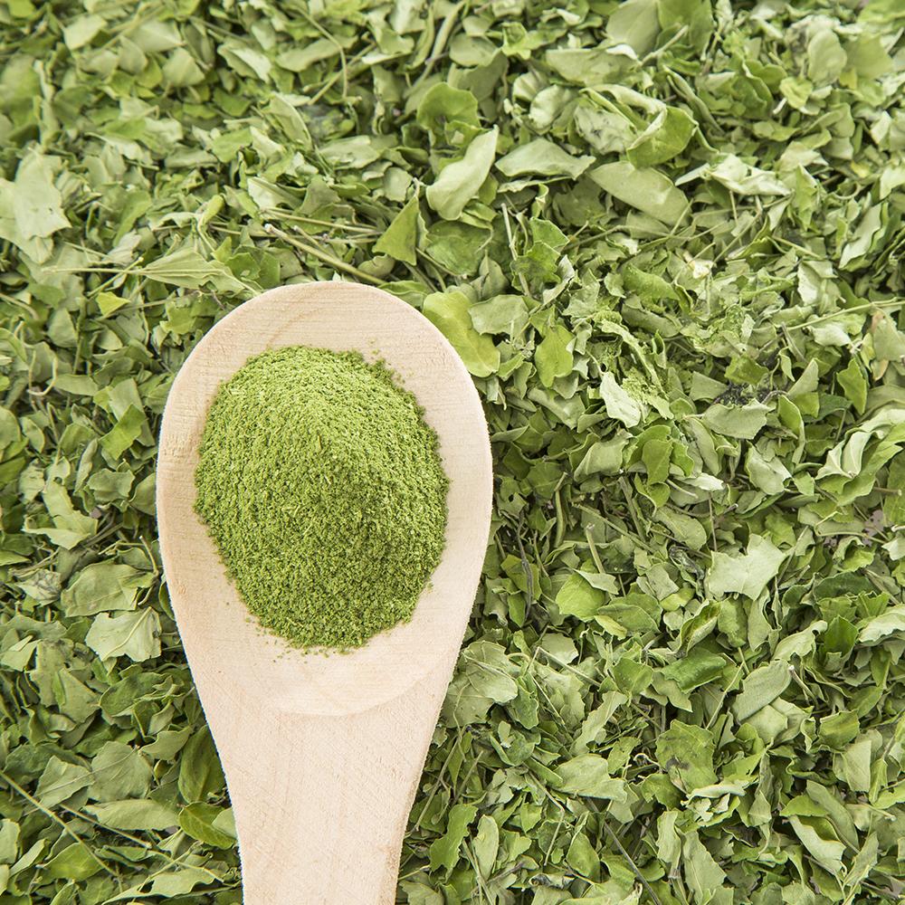 Freeze Dried Moringa Powder