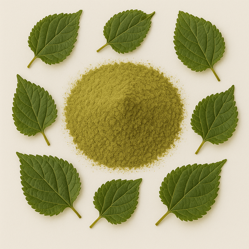 Mulberry Leaf Extract Powder