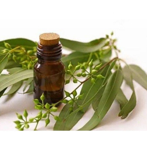 Narrow Leaf Essential Oil