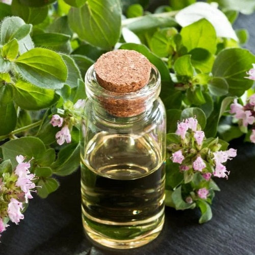 Oregano Leaf Oil
