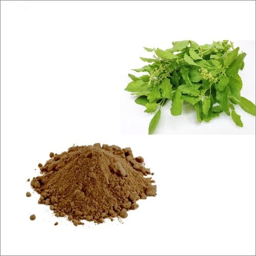 Tulsi Leaf Extract Powder