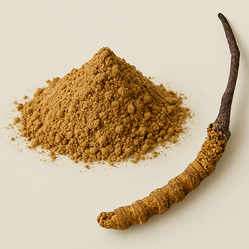 Yarsagumba Powder