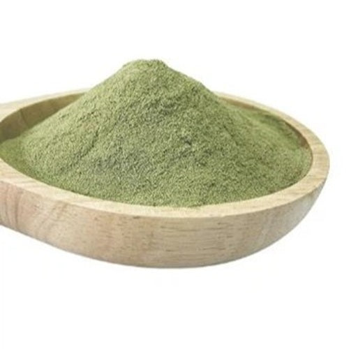 Zucchini Extract Powder