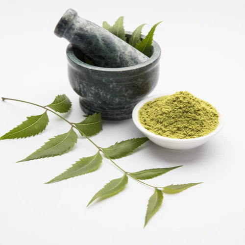 Neem Leaf Extract Powder